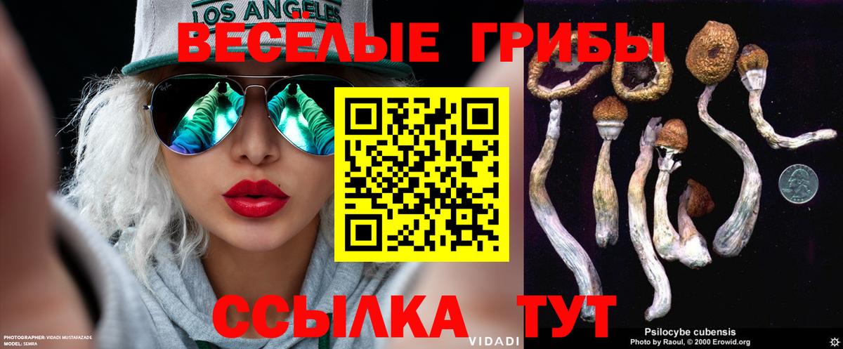Псилоцибиновые грибы MAGIC MUSHROOMS Нижнеудинск