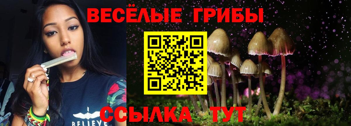 Нижнеудинск  Галлюциногенные грибы ЛСД  Вход с VPN 